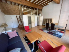 Toulouse Bel Appartement Au Coeur De Toulouse